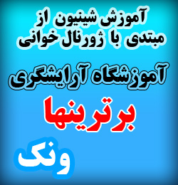 آموزش تخصصی شینیون
