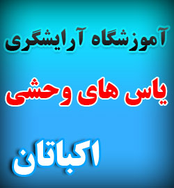آموزشگاه آرایشگری اکباتان ، آموزشگاه آرایشگری منطقه 5 تهران