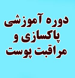 بهترین آموزشگاه پاکسازی پوست در تهران